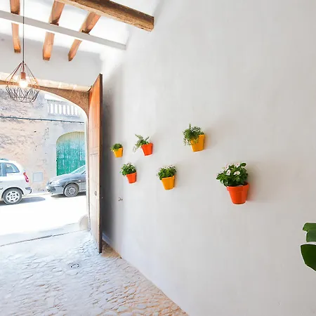 Migdia Algaida (Mallorca)